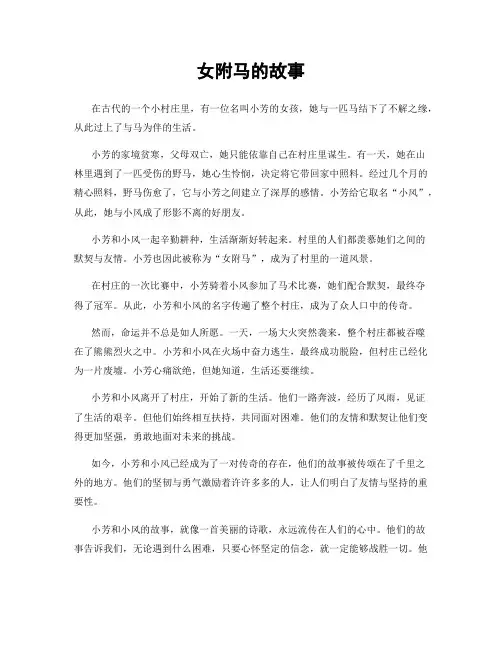 女附马的故事