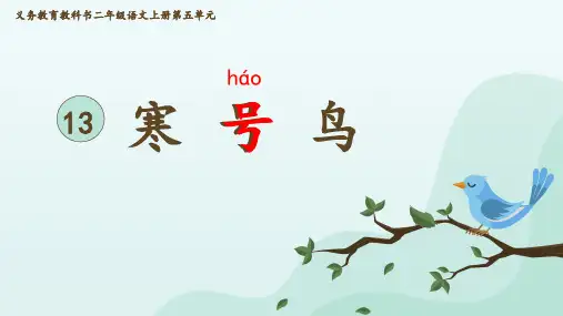 语文二年级上册第十三课《寒号鸟》课件