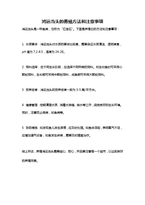 鸿运当头的养殖方法和注意事项