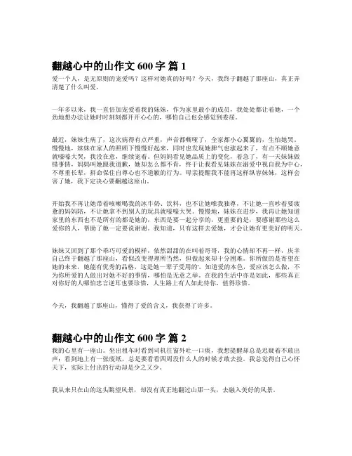 翻越心中的山作文600字