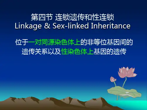 家畜遗传育种：2_4连锁交换规律