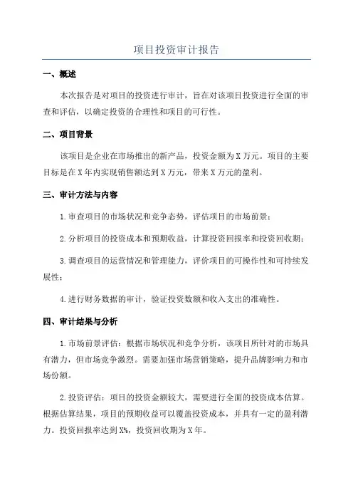 项目投资审计报告