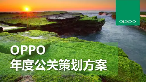 OPPO年度公关传播方案-博雅公关-FINAL-50页PPT文档资料