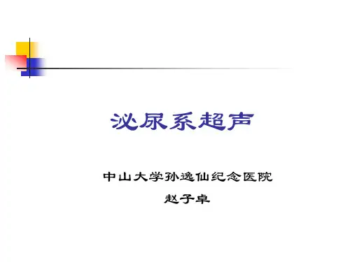 医科大学精品课件：泌尿系超声
