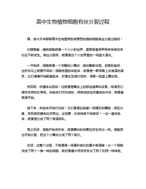 高中生物植物细胞有丝分裂过程
