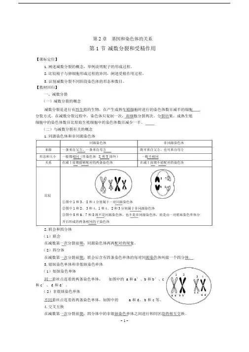 (完整版)第2章基因和染色体的关系(教案).docx