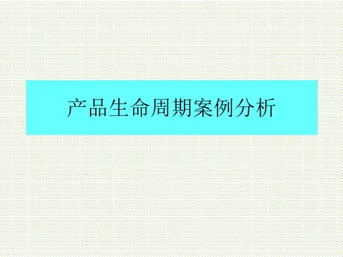 产品生命周期案例分析 ppt课件