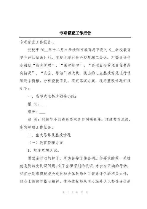 专项督查工作报告