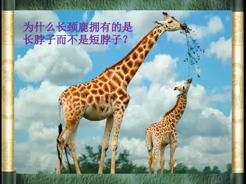 《达尔文与他的“进化论”》完整版课件苏教版科学1
