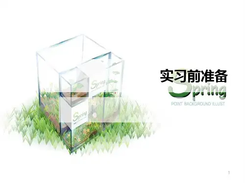 实习前主题班会PPT课件