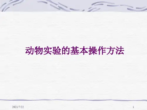 动物实验的基本操作方法