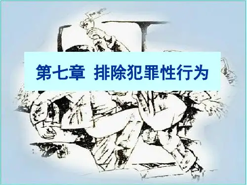 第七章 排除犯罪性的行为