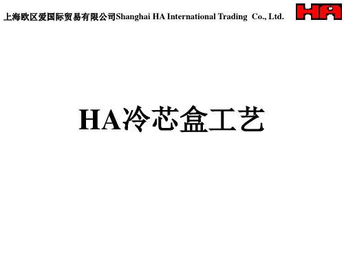 HA冷芯盒工艺资料
