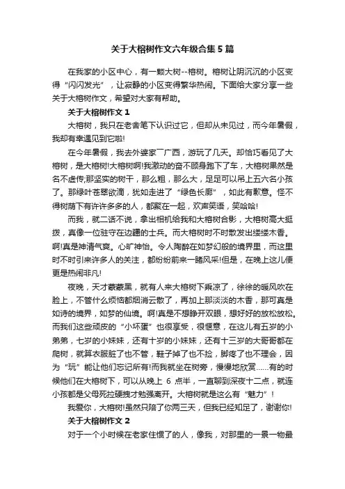 关于大榕树作文六年级合集5篇