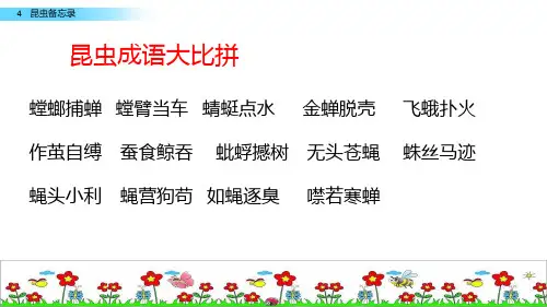 4 昆虫备忘录2