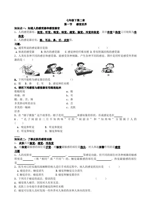 浙教版七年级下科学第二章第一节感觉世界
