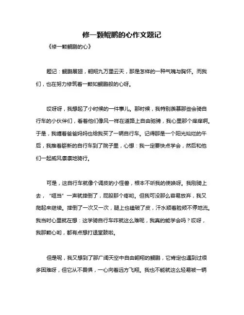 修一颗鲲鹏的心作文题记