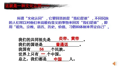 苏人版九年级上册道德与法治《提高文化认同感》课件公开课 (2)