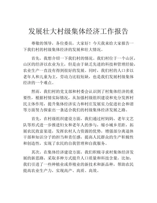 发展壮大村级集体经济工作报告