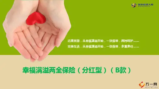 恒安标准幸福满溢B款背景产品形态卖点解析案例分析35页
