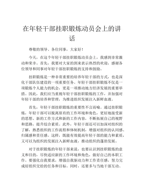 在年轻干部挂职锻炼动员会上的讲话