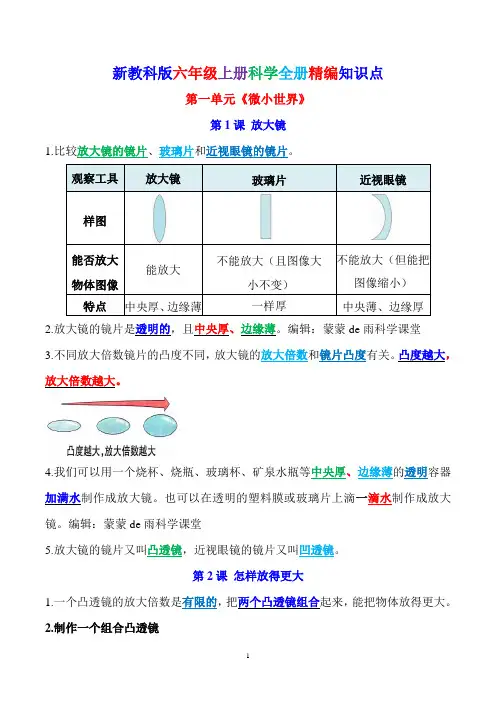 2023年新教科版科学六年级上册全册知识点大全