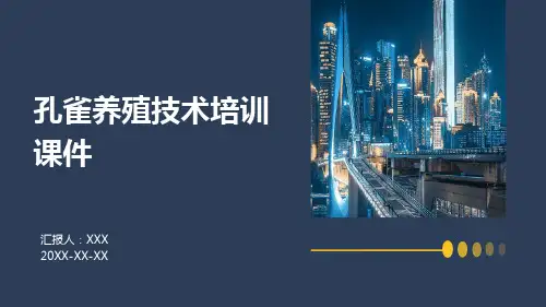 孔雀养殖技术培训课件
