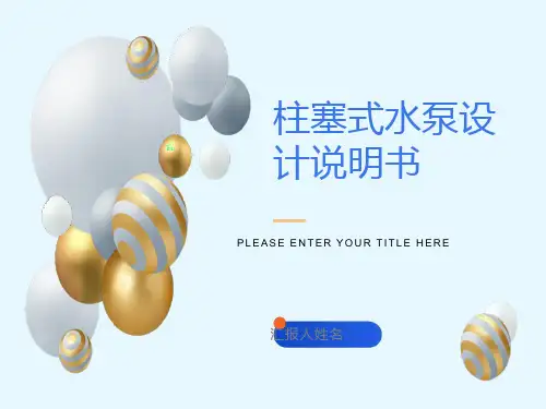 柱塞式水泵设计说明书