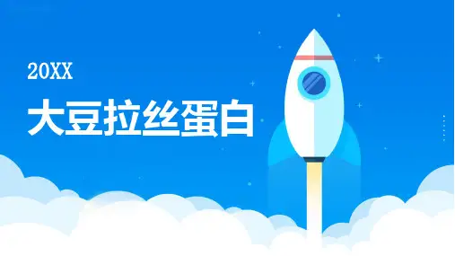 大豆拉丝蛋白