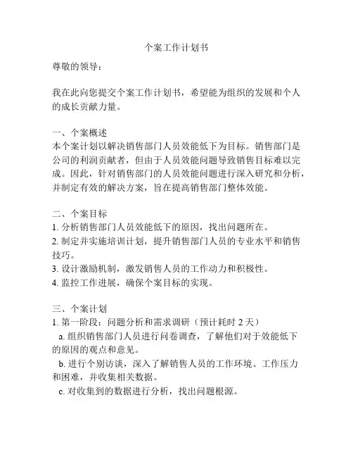 个案工作计划书