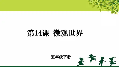 《微观世界》示范公开课教学PPT课件【小学五年级美术下册】