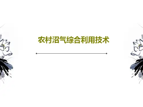农村沼气综合利用技术共19页文档