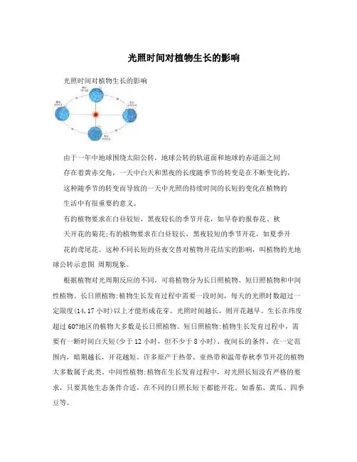 光照时间对植物生长的影响
