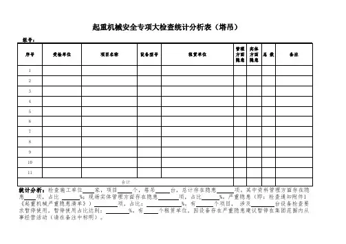 起重机械安全专项大检查统计分析表(塔吊)