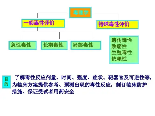 药物特殊毒性评价
