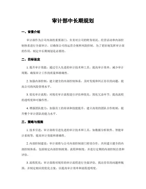 审计部中长期规划