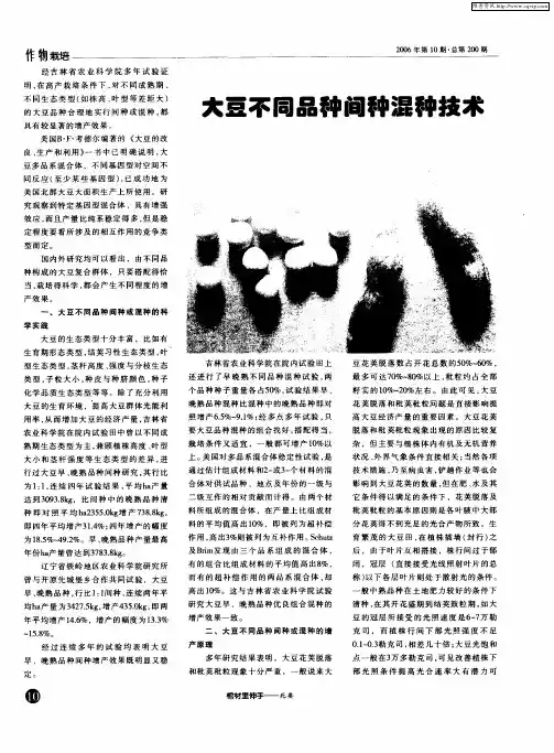 大豆不同品种间种混种技术