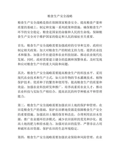 粮食生产安全战略