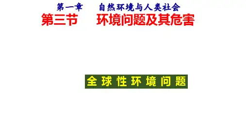 环境问题及其危害(课件)高二地理(人教版2019选择性必修3)