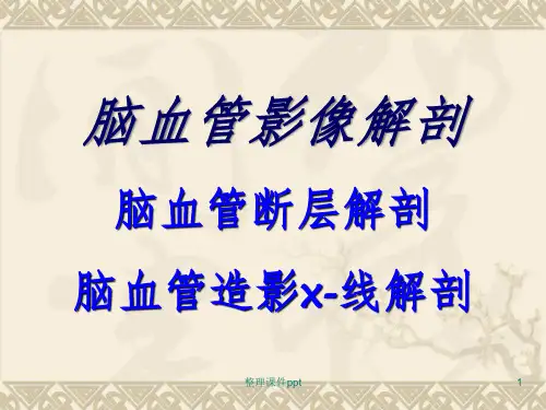 《脑血管影像解剖》PPT课件【54页】