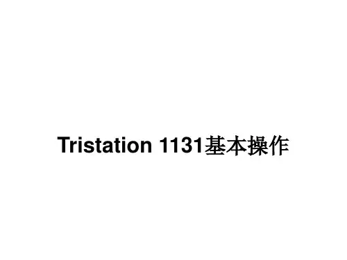 TRICONEX加点.
