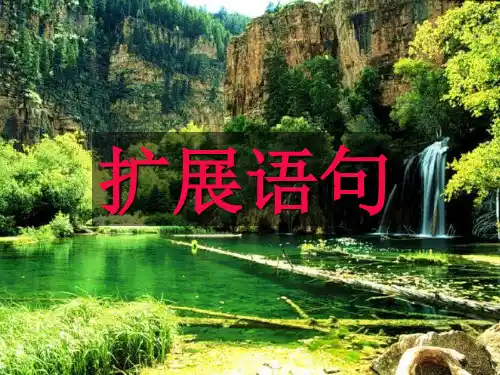 扩展语句