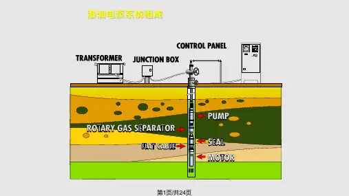 潜油电泵系统简介PPT课件