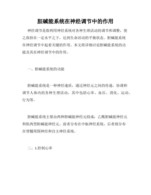 胆碱能系统在神经调节中的作用