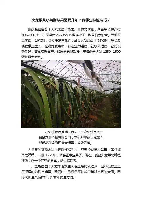 火龙果从小苗到结果需要几年？有哪些种植技巧？