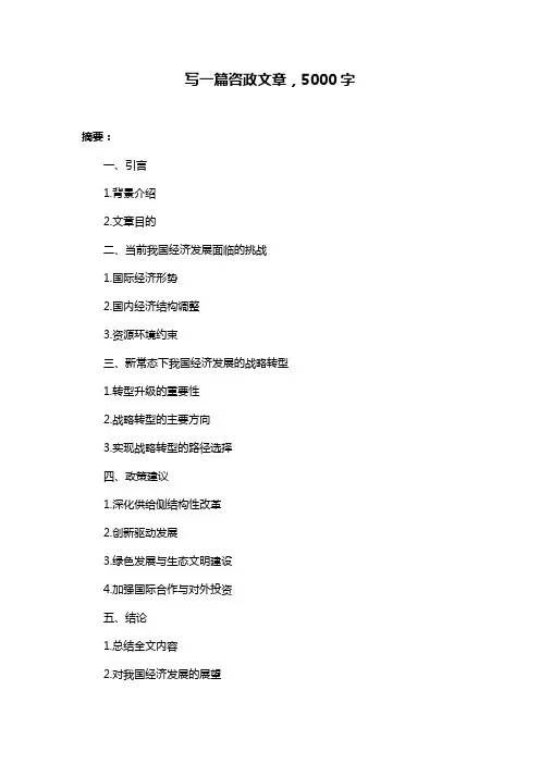 写一篇咨政文章,5000字