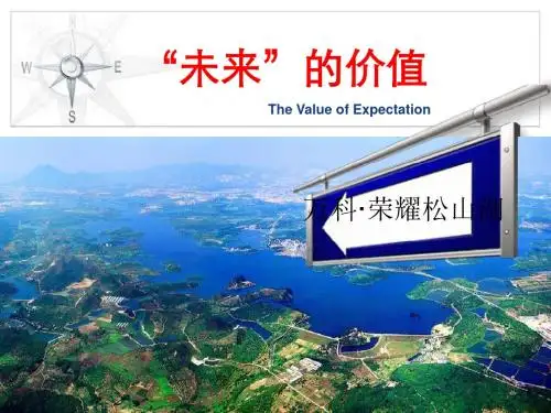 中原2006年东莞万科·松山湖别墅的项目前期的的策划