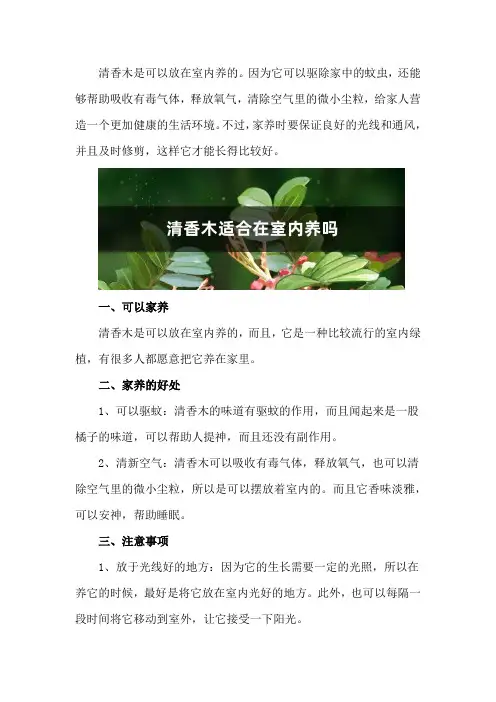 清香木适合在室内养吗