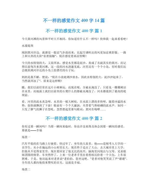 不一样的感觉作文400字14篇