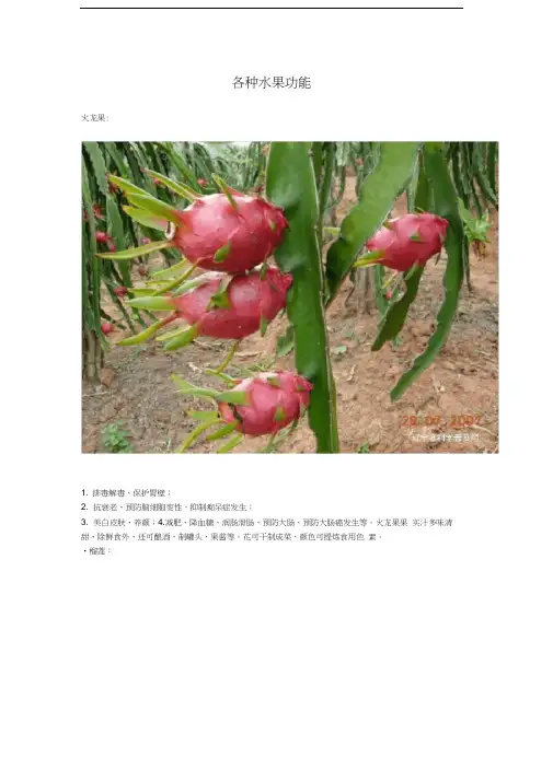 各种水果功能大全